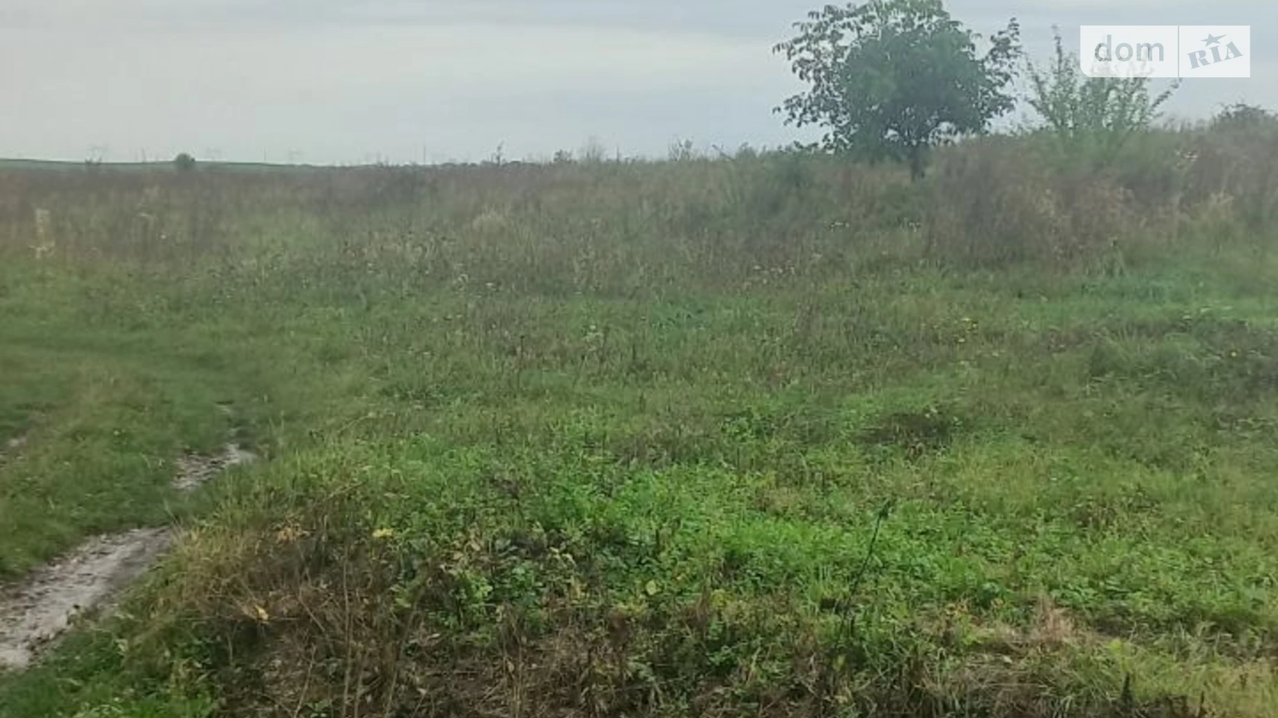 Здається в оренду земельна ділянка 11.2534 соток у Львівській області, цена: 28565 грн - фото 2