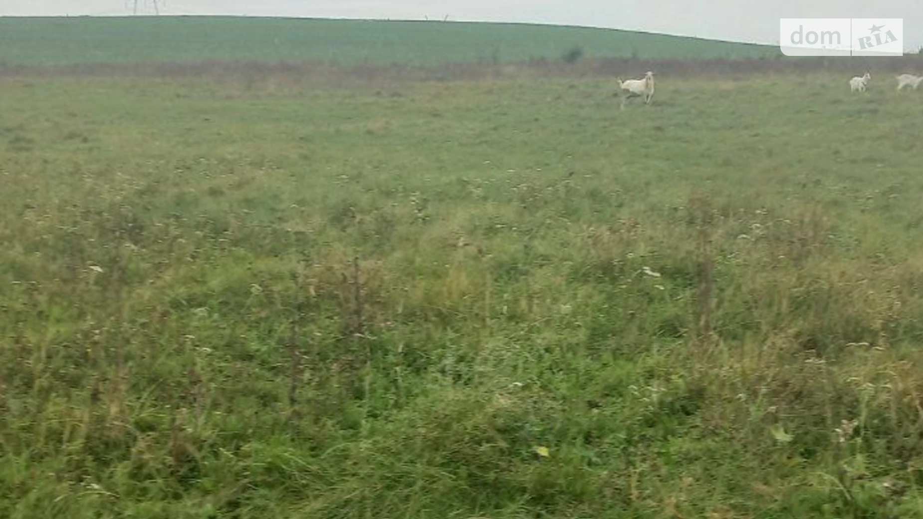 Здається в оренду земельна ділянка 11.2534 соток у Львівській області, цена: 28565 грн - фото 5