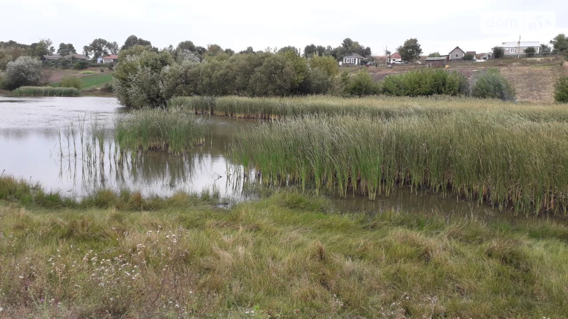 Сдается в аренду земельный участок 1.6244 соток в Хмельницкой области, цена: 5521 грн - фото 3