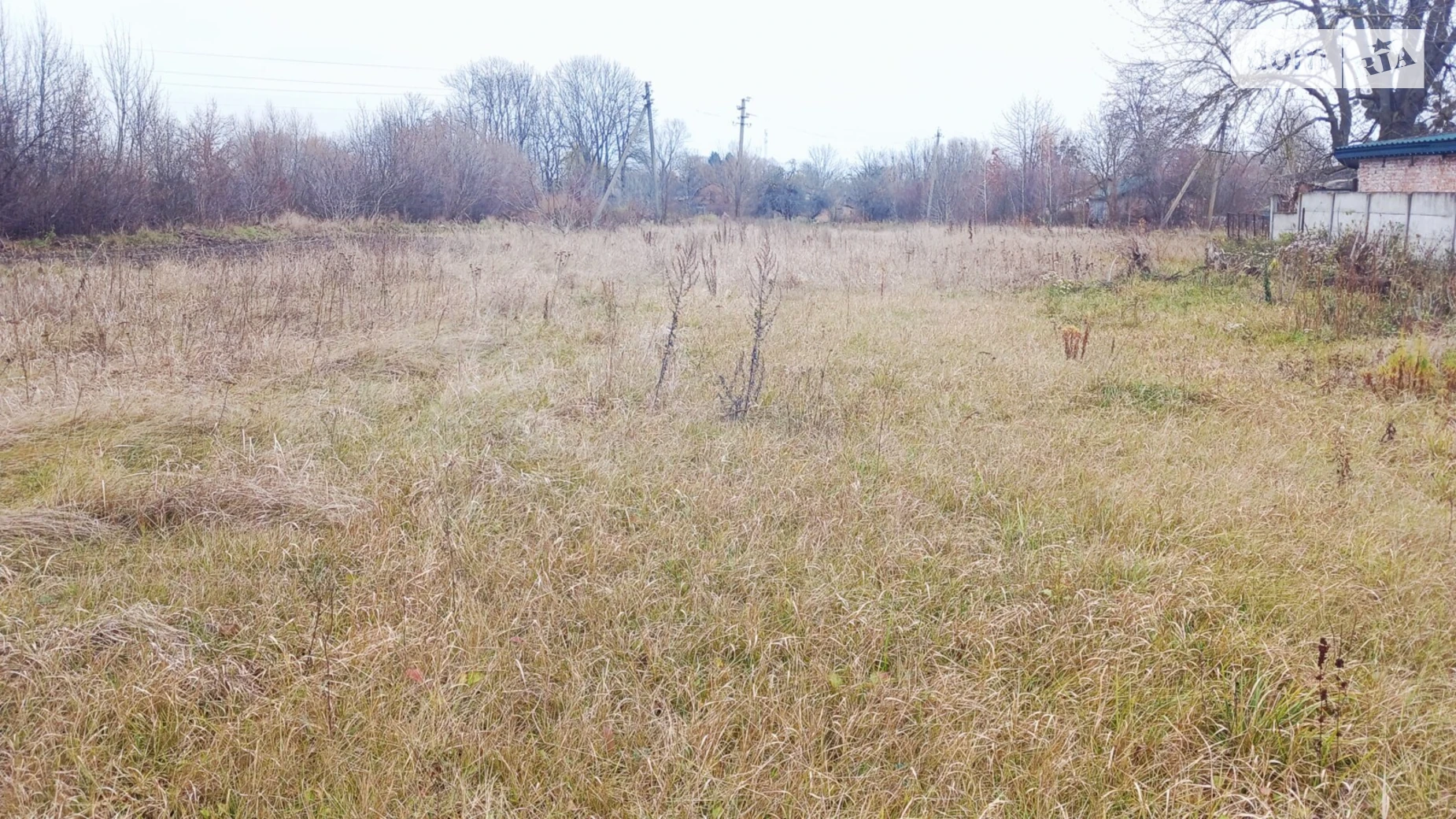 Продается земельный участок 25 соток в Винницкой области, цена: 45000 $ - фото 4