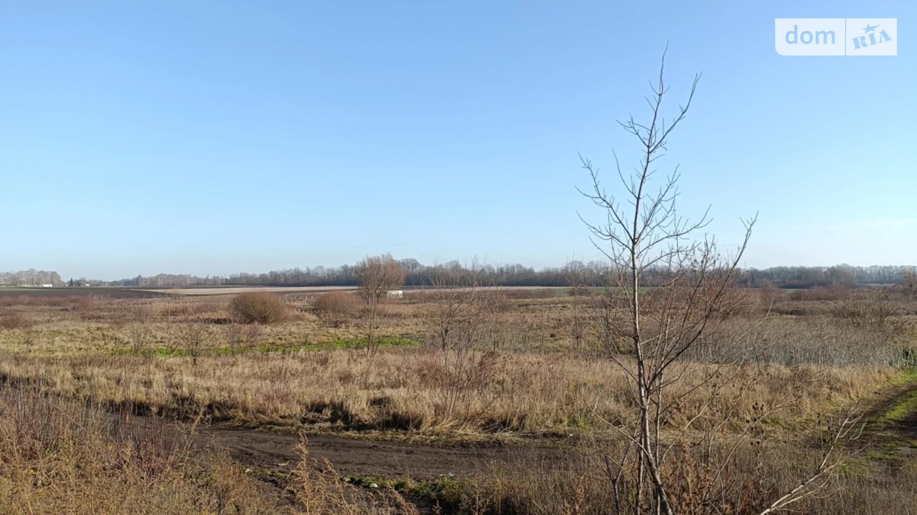 Продається земельна ділянка 10 соток у Вінницькій області, цена: 9000 $ - фото 3