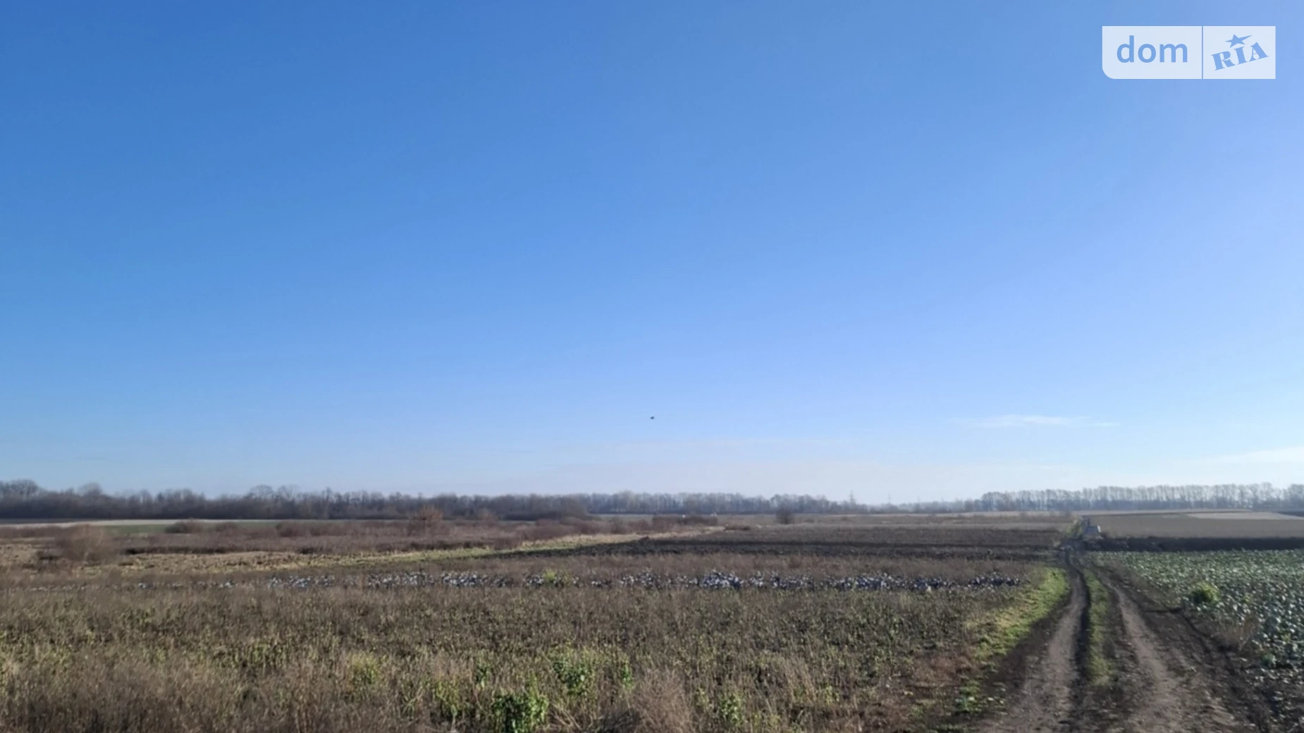 Продается земельный участок 10 соток в Винницкой области, цена: 9000 $ - фото 3