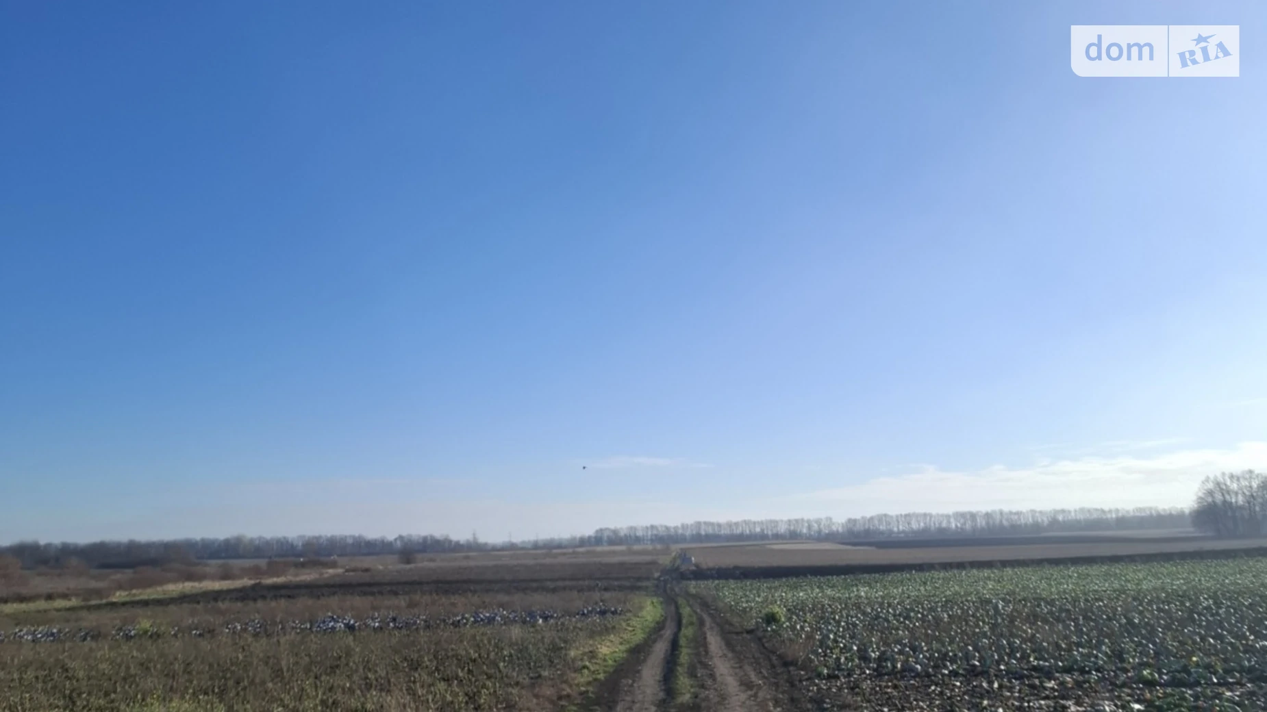 Продается земельный участок 10 соток в Винницкой области, цена: 9000 $ - фото 4