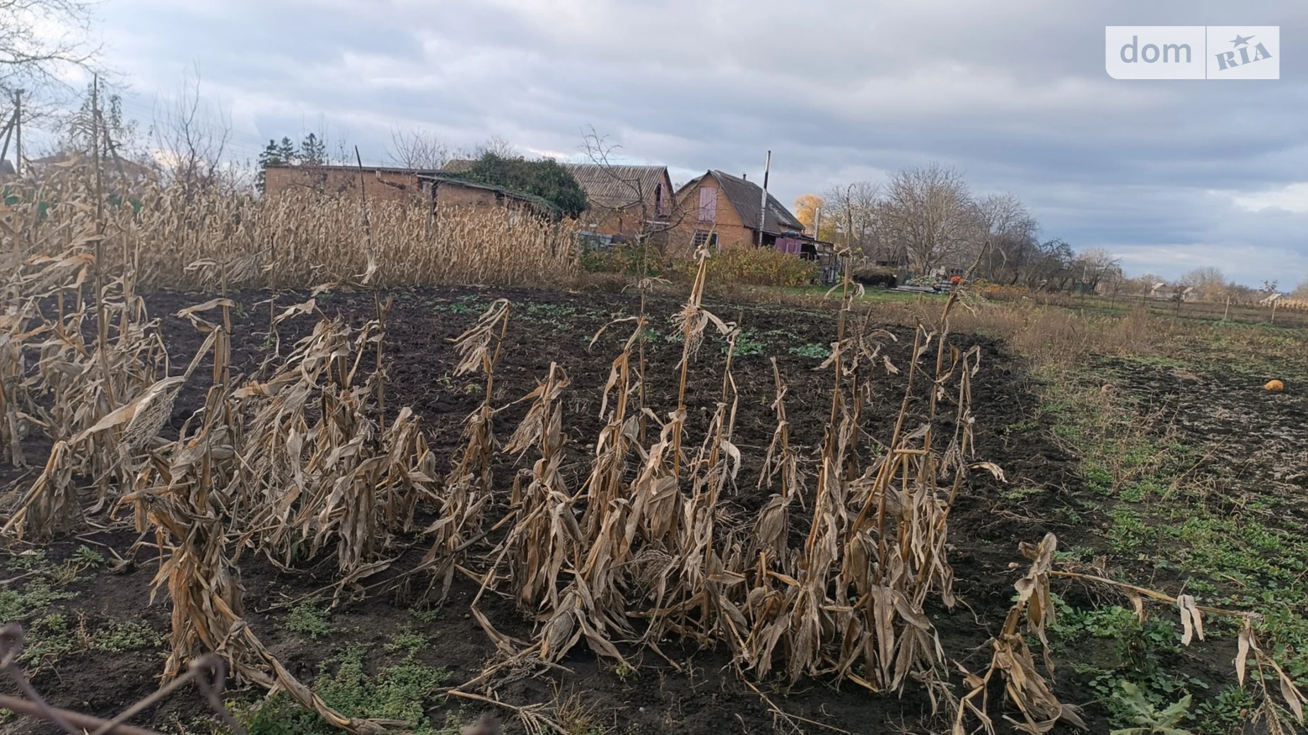 ул. Владимира Даровского(Тимирязева) Калиновка, цена: 21000 $ - фото 2