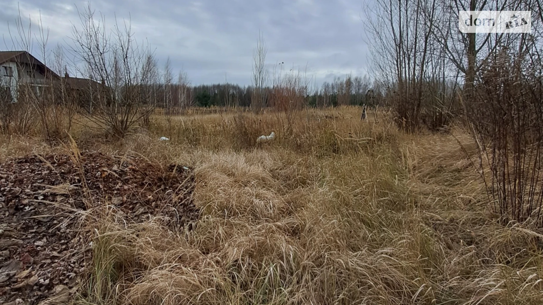 ул. Северина Наливайка Севериновка (Макаров), цена: 80000 $ - фото 3