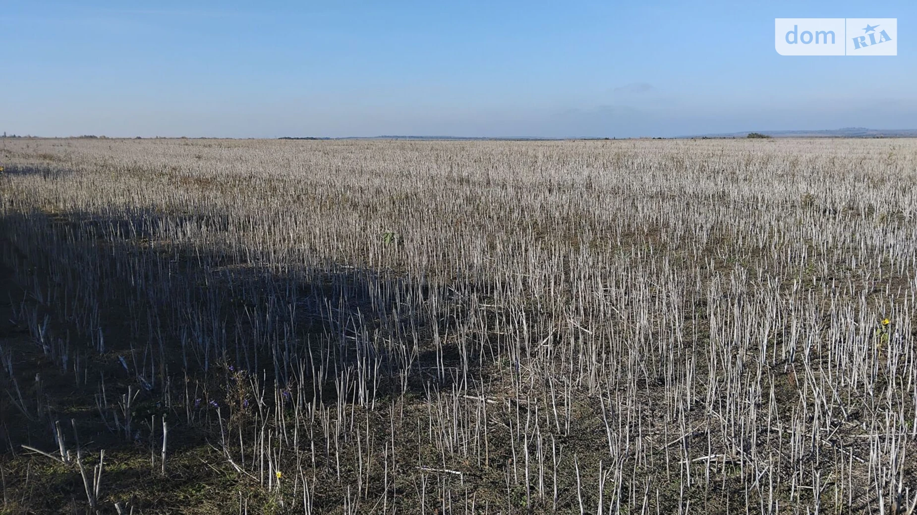 Сдается в аренду земельный участок 17 соток в Хмельницкой области, цена: 87297 грн - фото 2