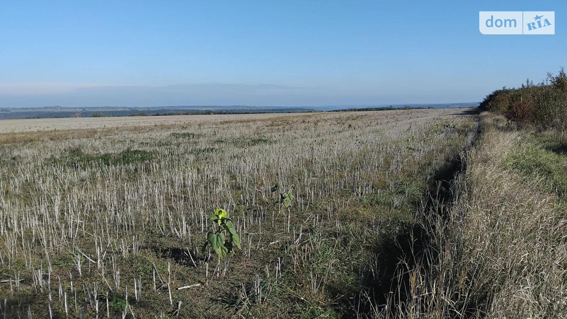 Сдается в аренду земельный участок 17 соток в Хмельницкой области, цена: 87297 грн - фото 4
