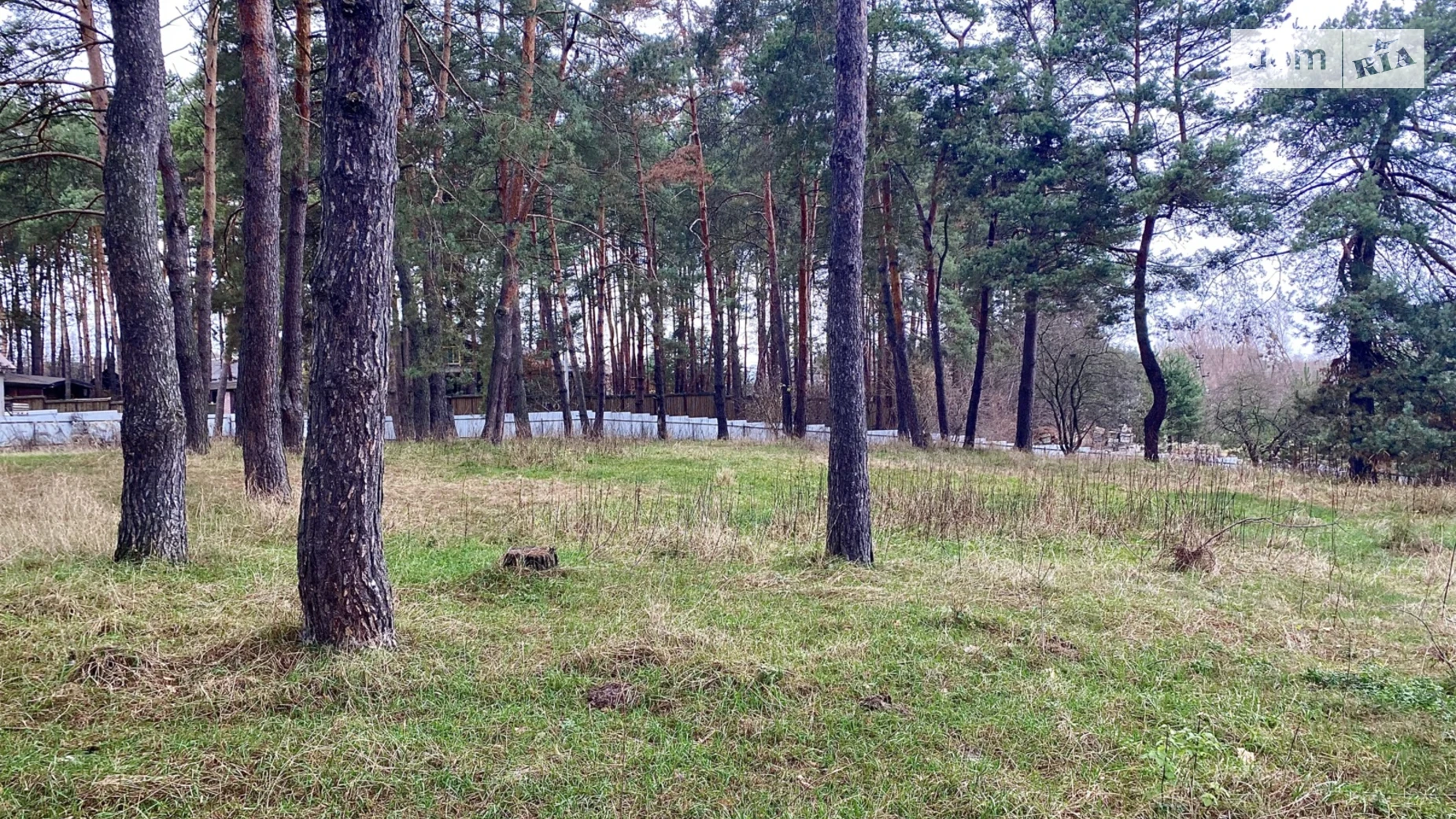 Продается земельный участок 43 соток в Киевской области, цена: 150500 $ - фото 2