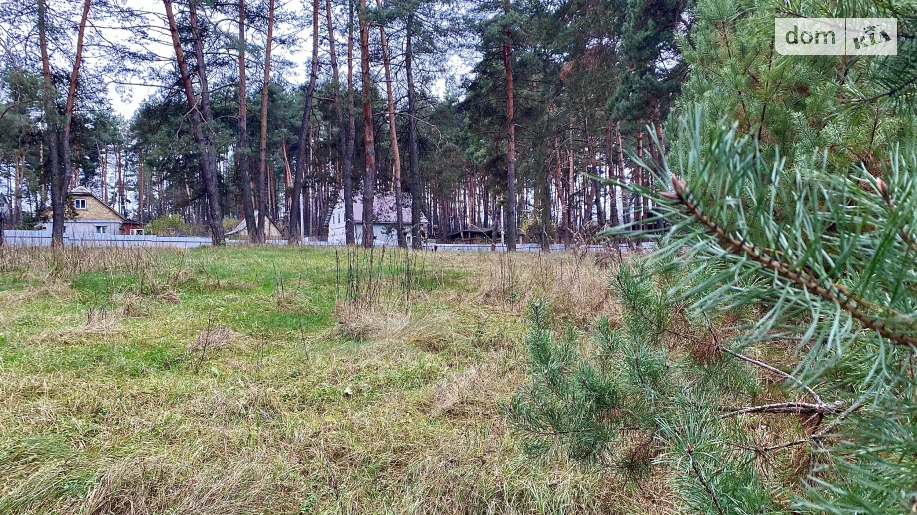 Продается земельный участок 43 соток в Киевской области, цена: 150500 $ - фото 3