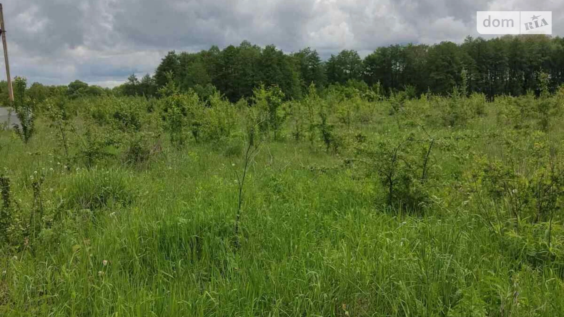 Продається земельна ділянка 12 соток у Вінницькій області, цена: 30000 $ - фото 3