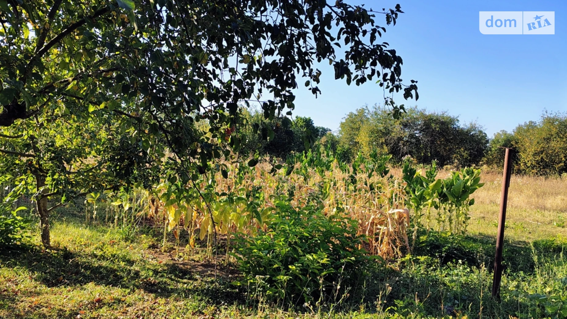 Продається земельна ділянка 12 соток у Вінницькій області, цена: 30000 $ - фото 4