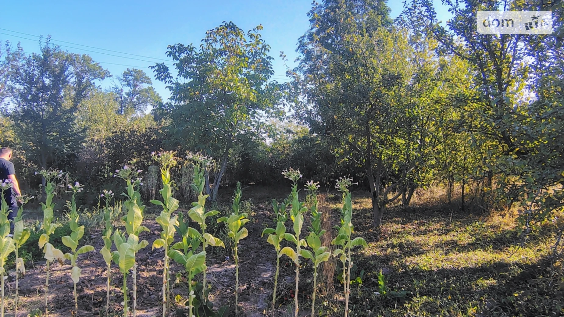 Продається земельна ділянка 12 соток у Вінницькій області, цена: 30000 $ - фото 5