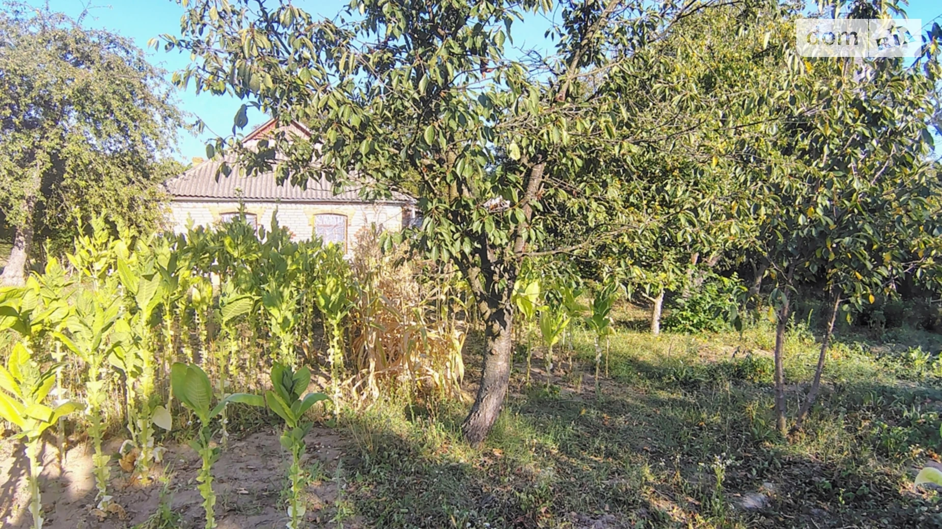 Продається земельна ділянка 12 соток у Вінницькій області, цена: 30000 $ - фото 2