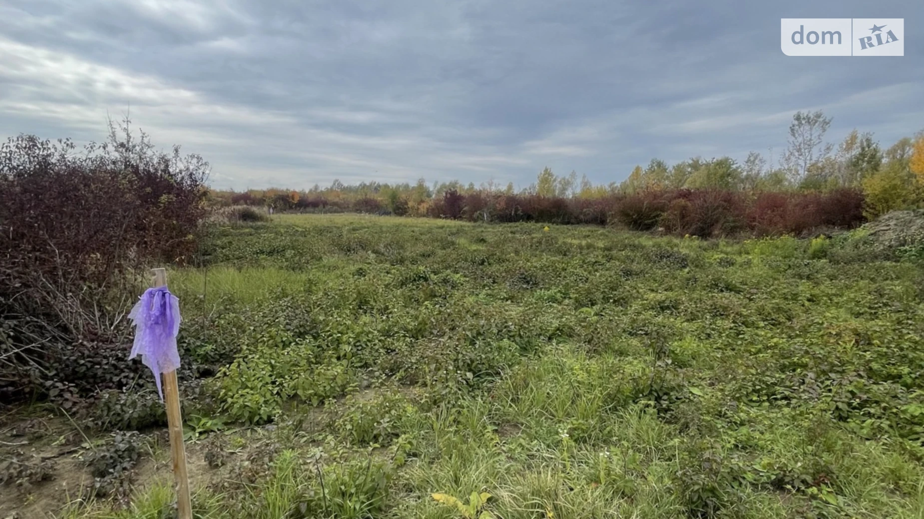 Продается земельный участок 7 соток в Закарпатской области, цена: 16500 $ - фото 5