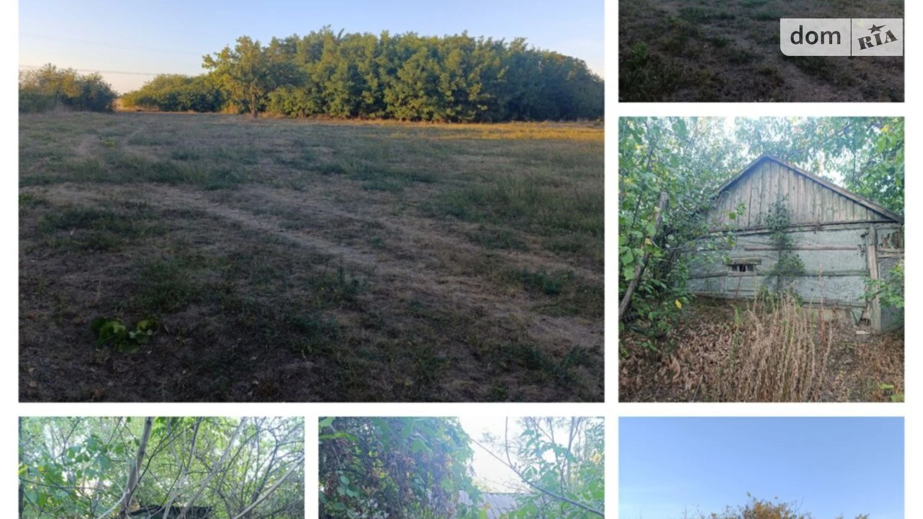 Продается земельный участок 60 соток в Полтавской области, цена: 12000 $ - фото 5