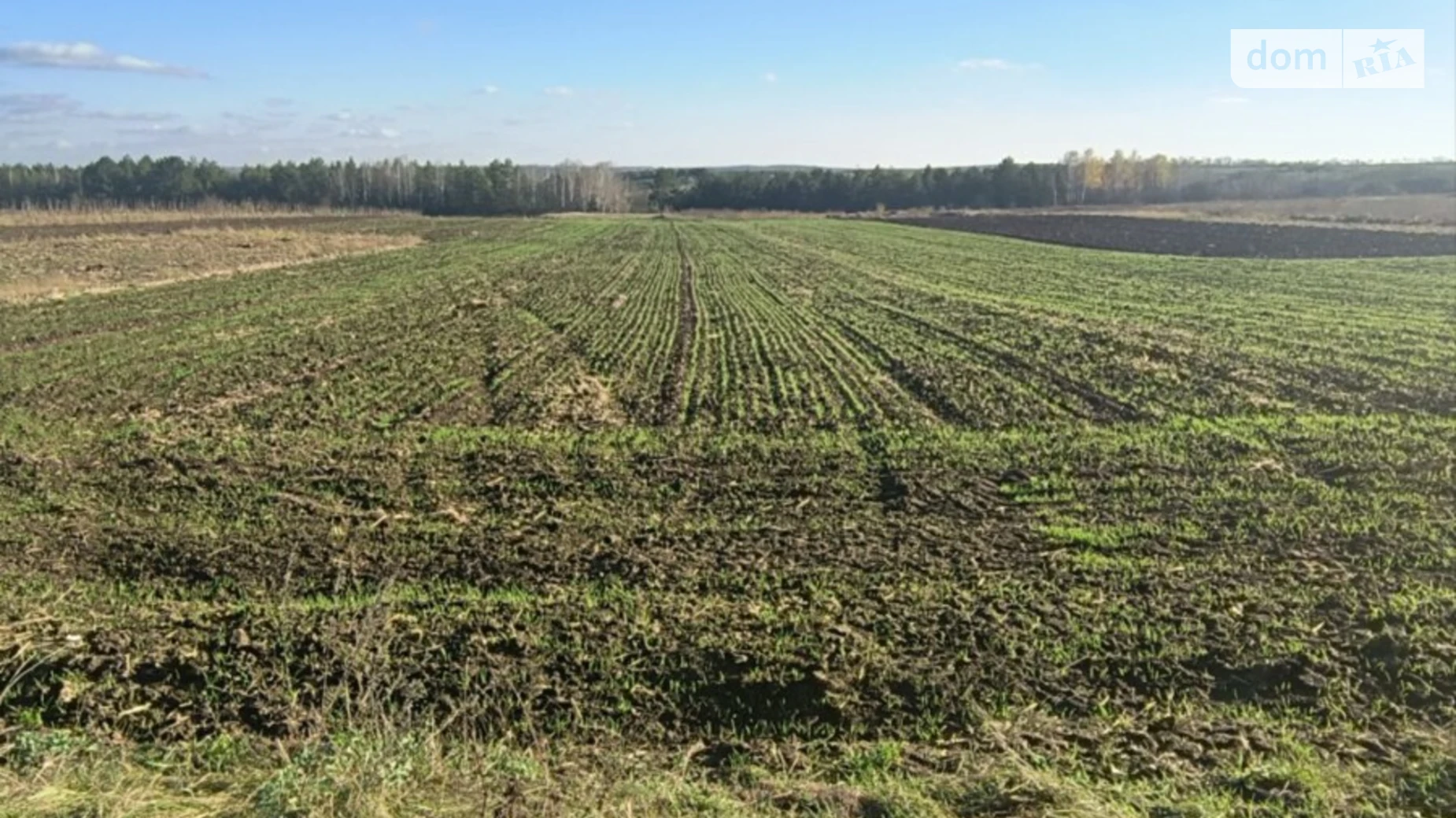 Продается земельный участок 13.92 соток в Хмельницкой области, цена: 7000 $ - фото 4