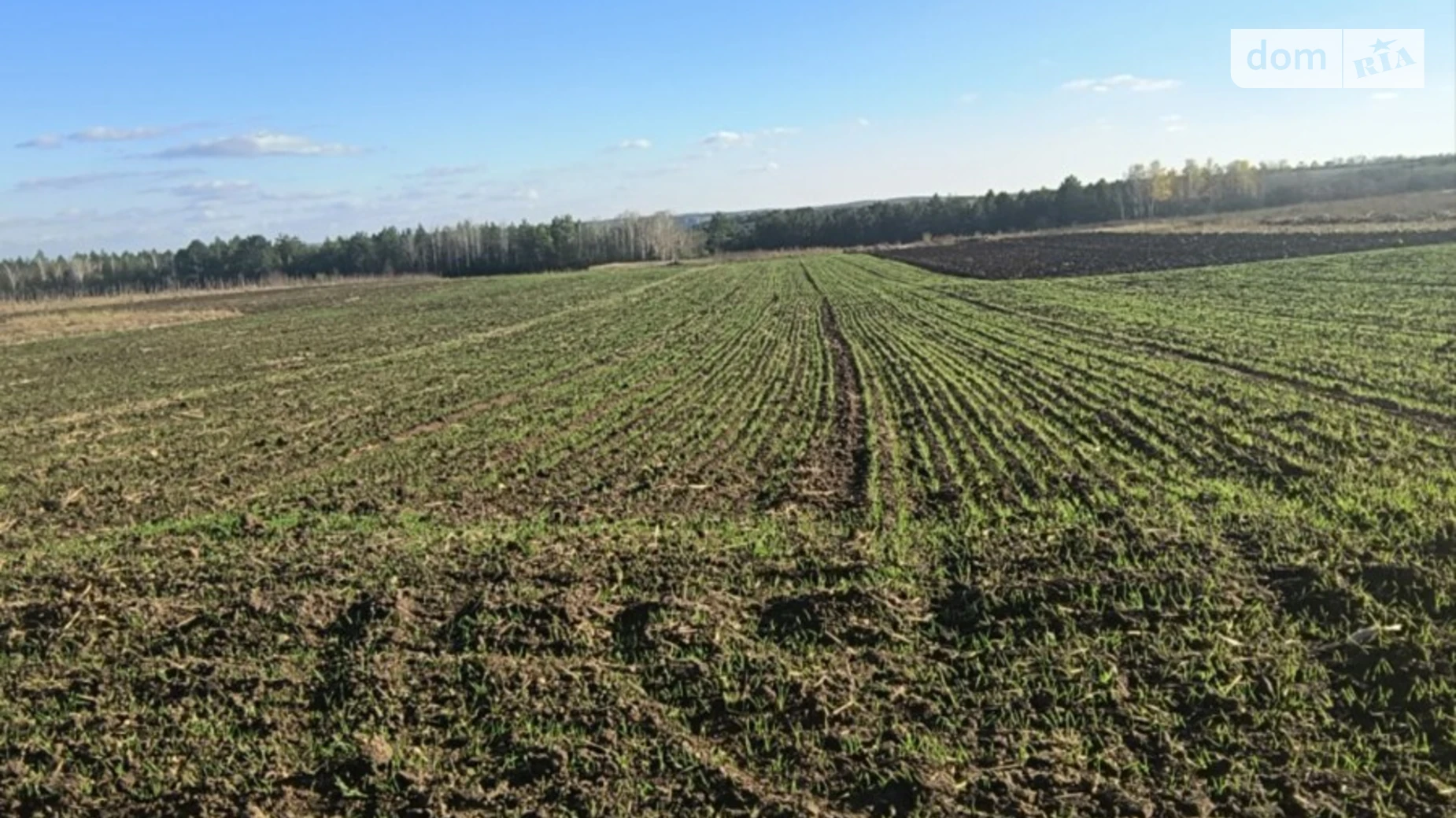 Продается земельный участок 13.92 соток в Хмельницкой области, цена: 7000 $ - фото 3
