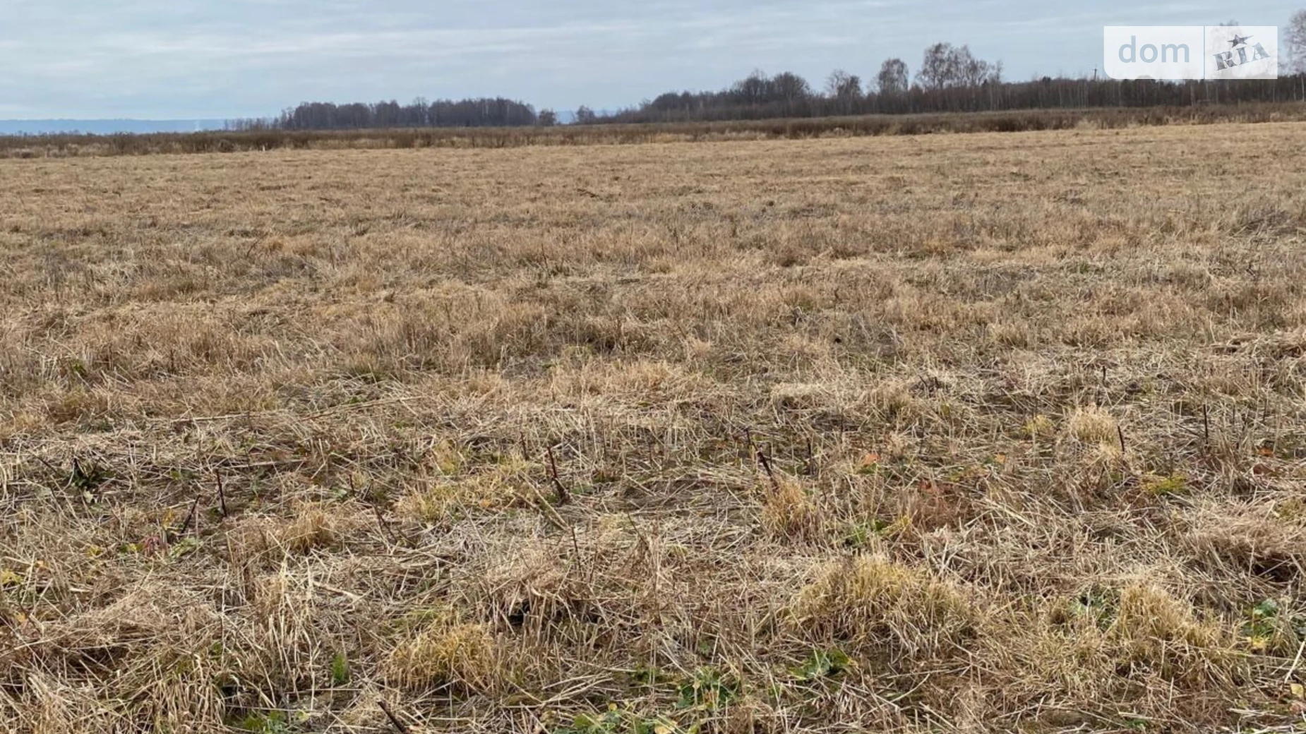 Продается земельный участок 5.2005 соток в Ивано-Франковской области, цена: 9680731 грн - фото 2