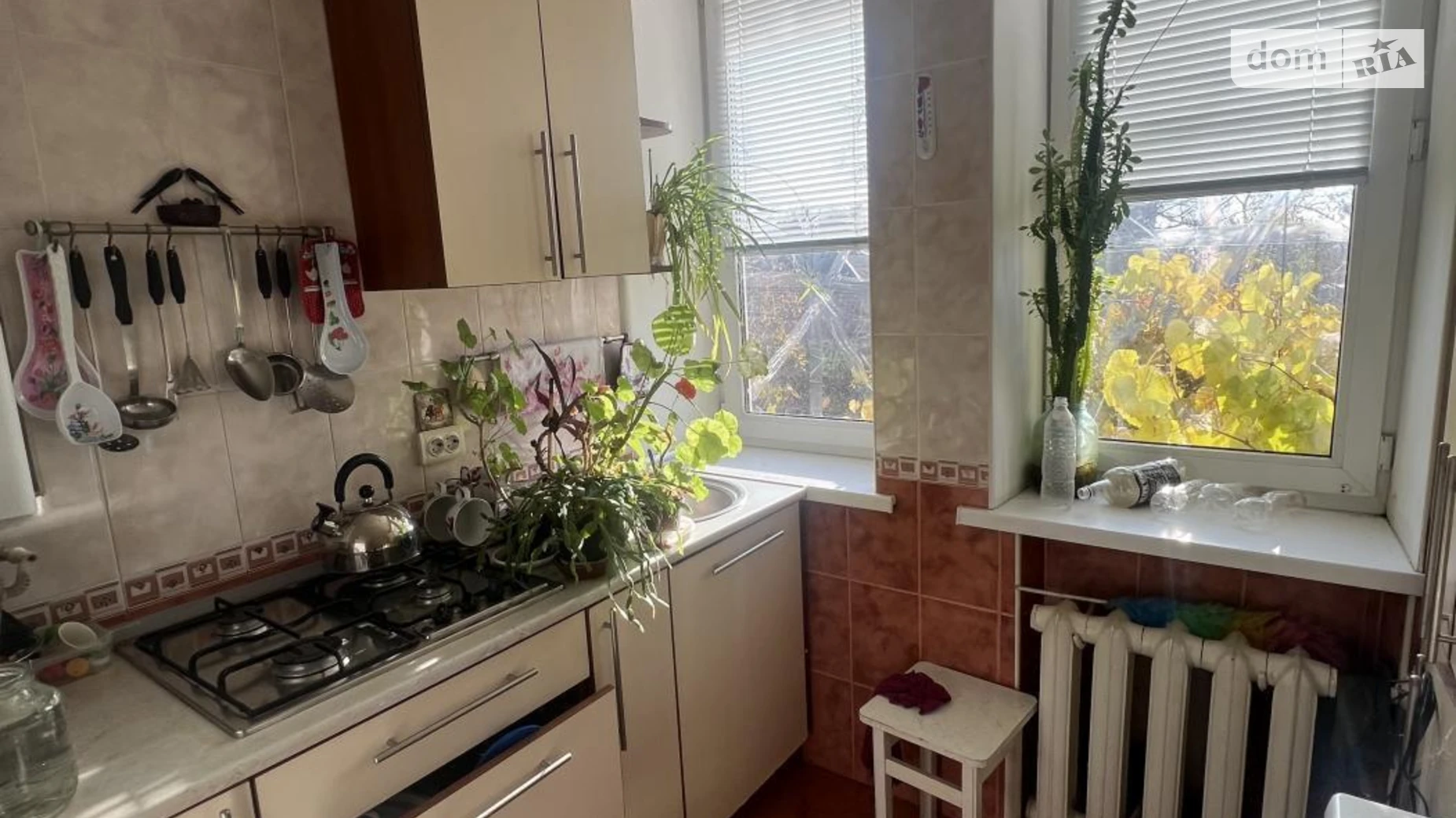 ул. Трегубова Днепровский (Ленинский) Запорожье - фото 2