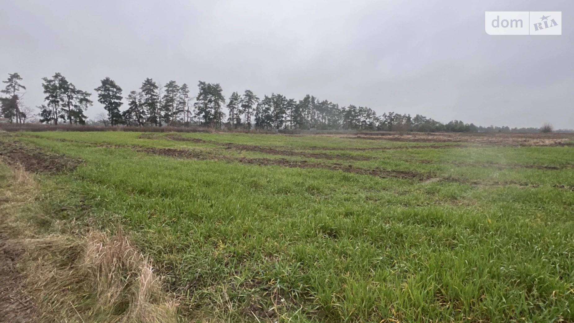Продается земельный участок 8 соток в Винницкой области, цена: 14000 $ - фото 4
