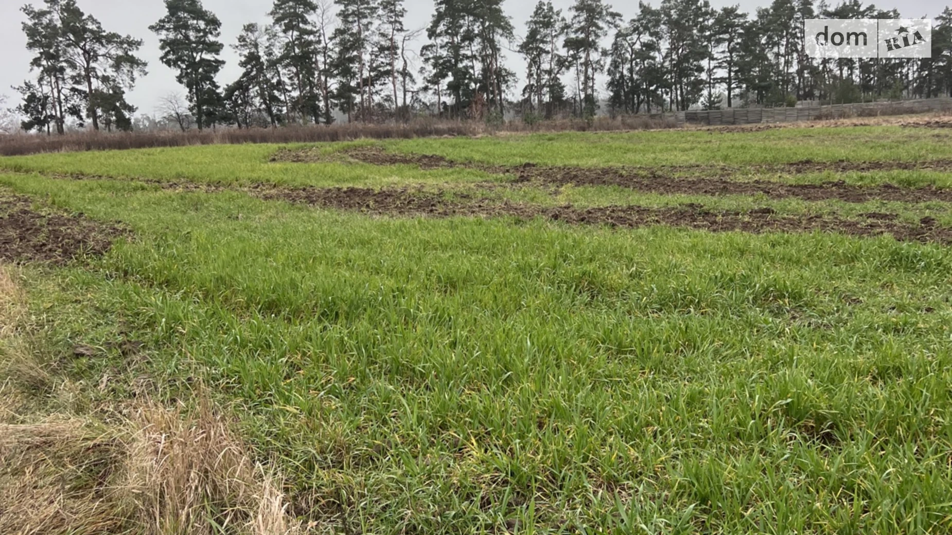 Продается земельный участок 8 соток в Винницкой области, цена: 14000 $ - фото 3