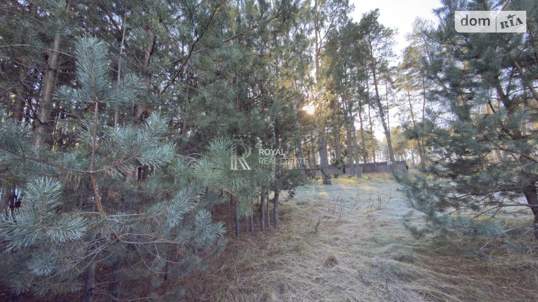 Продается земельный участок 43.7 соток в Киевской области, цена: 155000 $ - фото 3