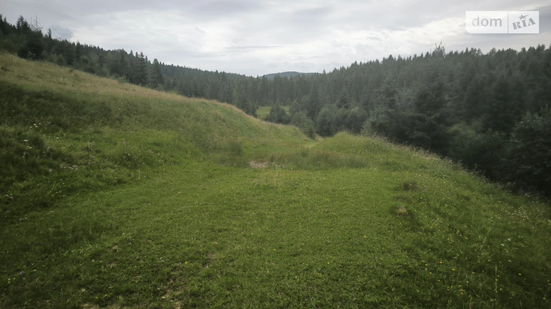 Продается земельный участок 10 соток в Львовской области, цена: 5000 $ - фото 2