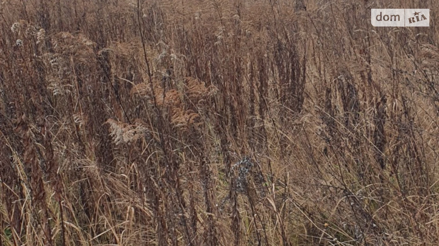 Продается земельный участок 10 соток в Винницкой области, цена: 25000 $ - фото 5