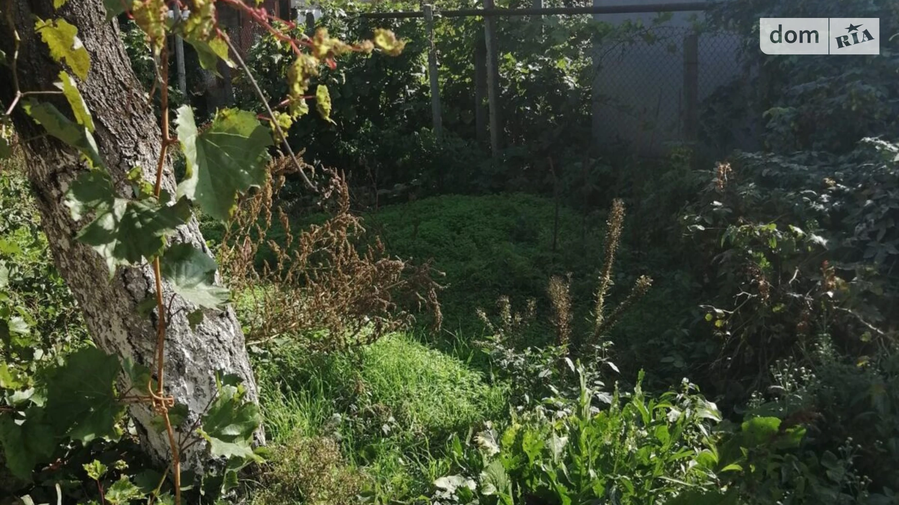 Продається одноповерховий будинок 57 кв. м з каміном, цена: 85000 $ - фото 4