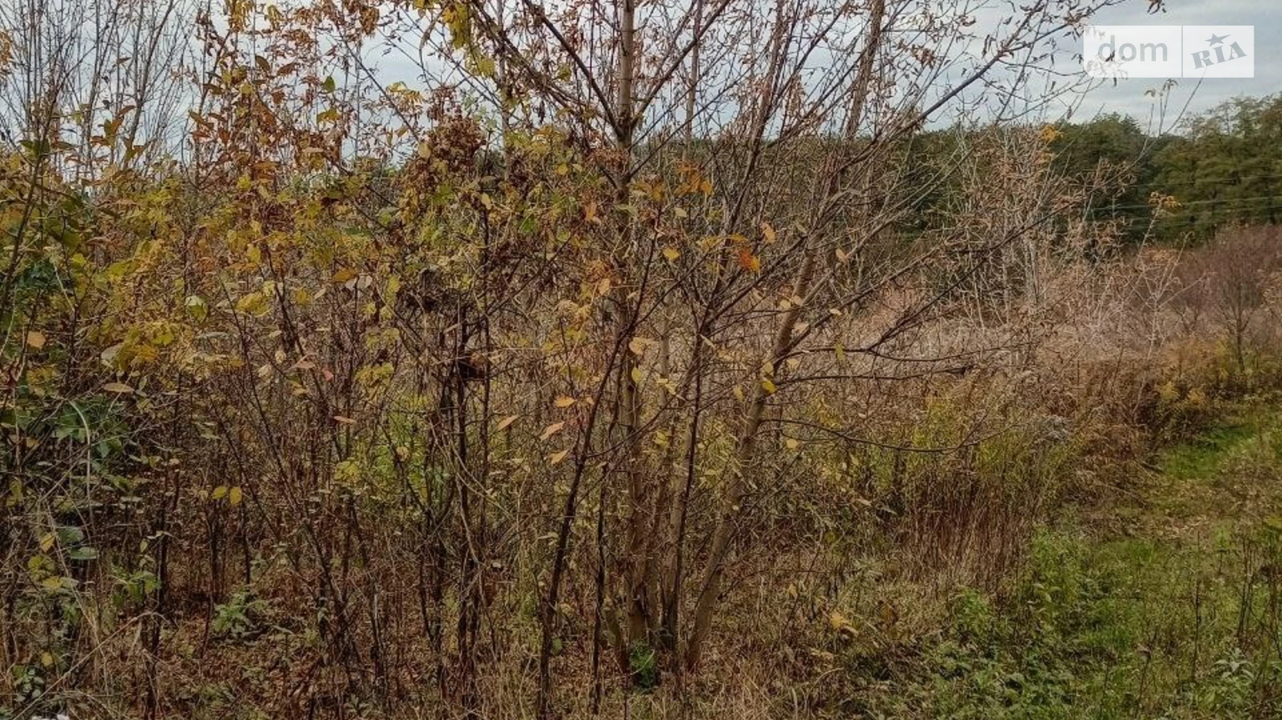 Продается земельный участок 17.11 соток в Киевской области, цена: 6250 $ - фото 3