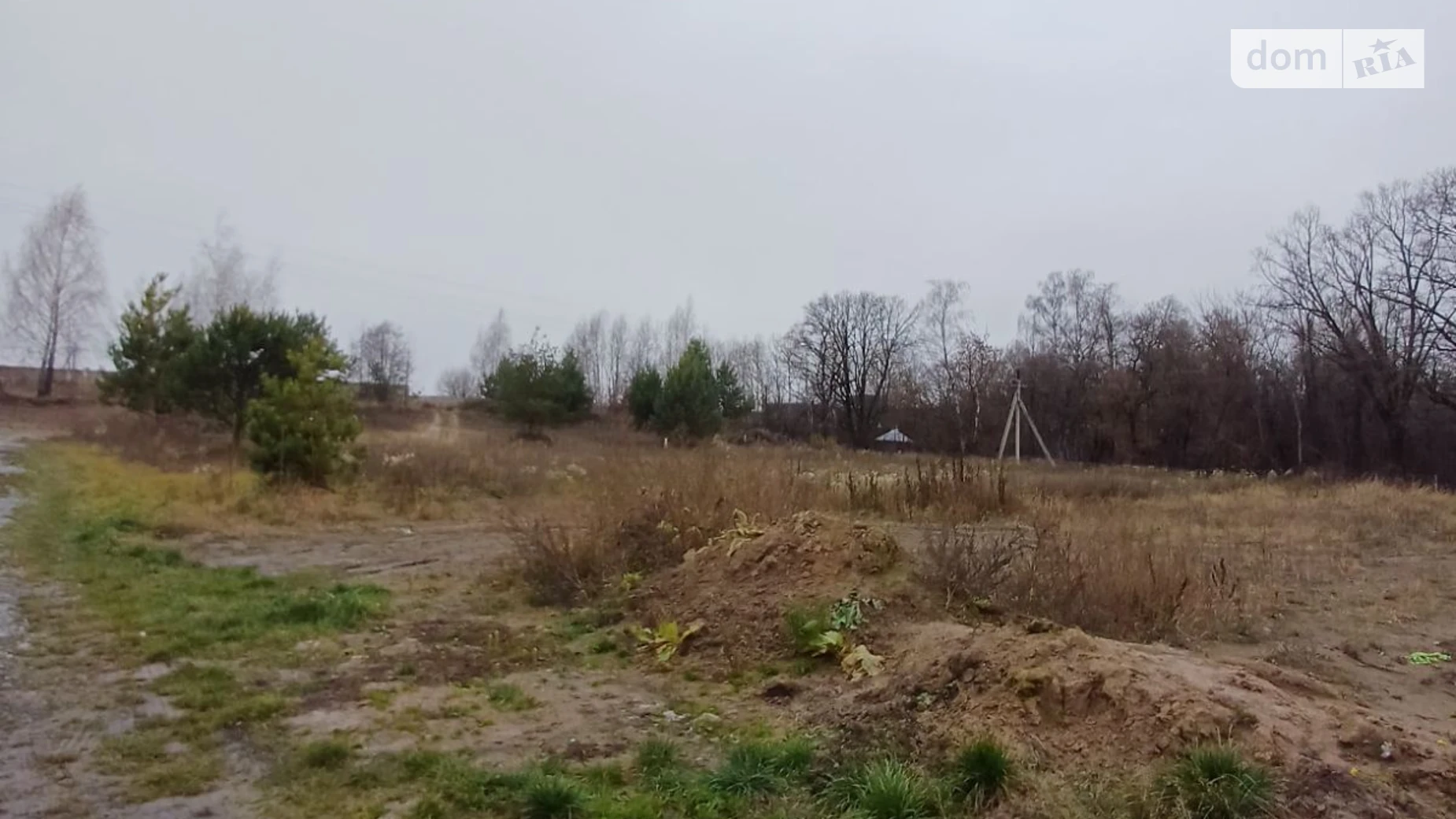Продается земельный участок 23.88 соток в Ровенской области, цена: 99900 $ - фото 2