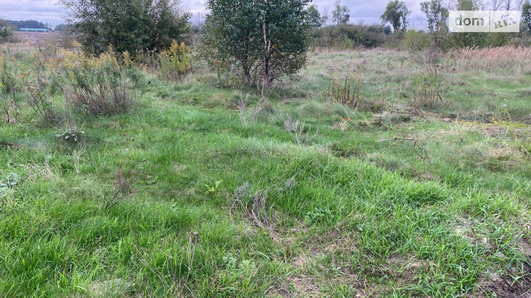 Здається в оренду земельна ділянка 0.1323 соток у  області, цена: 435 грн - фото 2