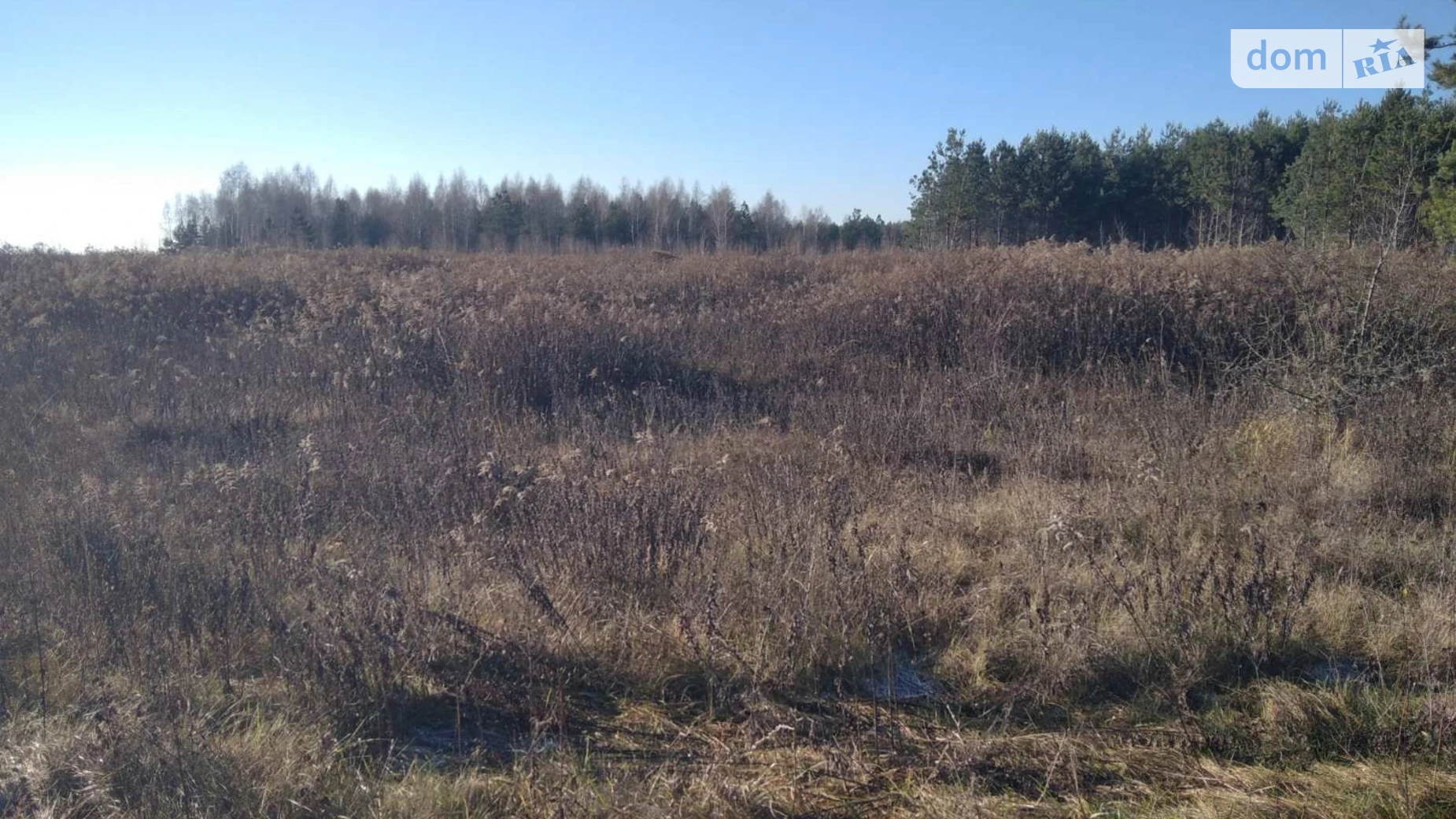 Сдается в аренду земельный участок 1.4543 соток в Черниговской области, цена: 6230 грн - фото 2