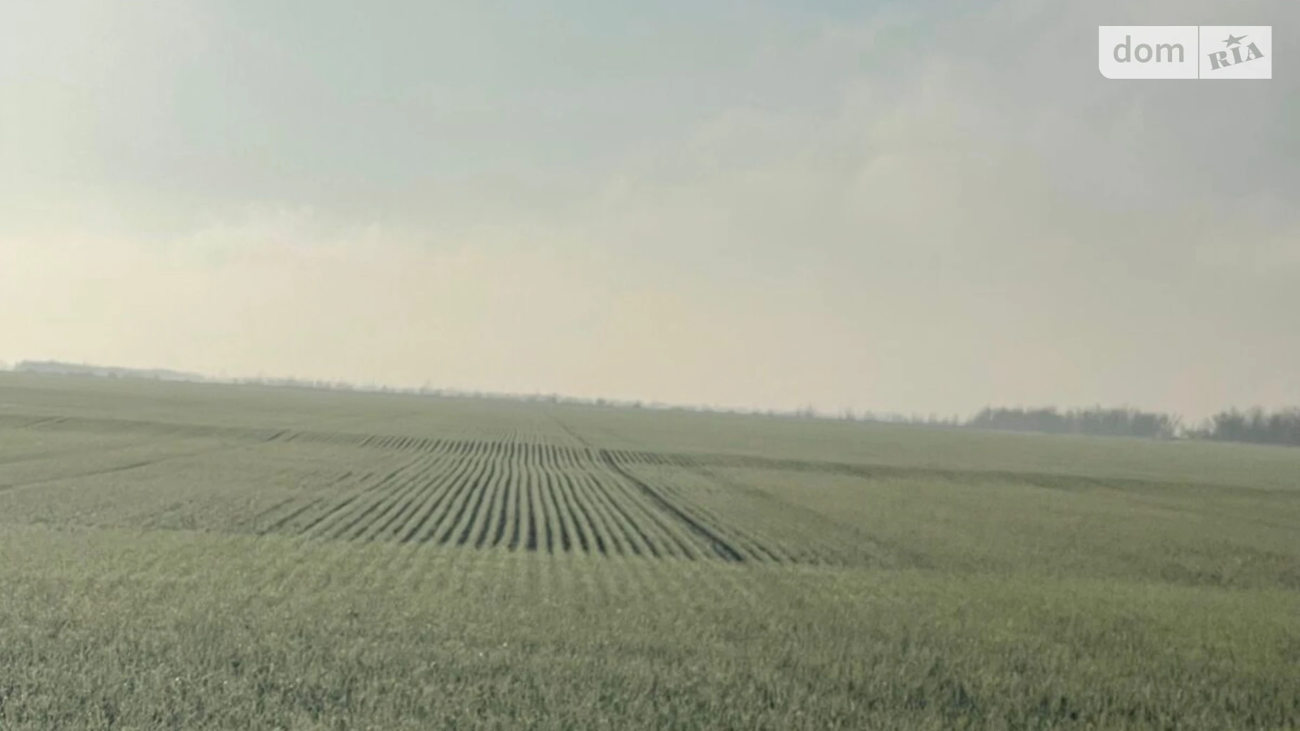 Здається в оренду земельна ділянка 16.25 соток у Миколаївській області, цена: 58936 грн - фото 3