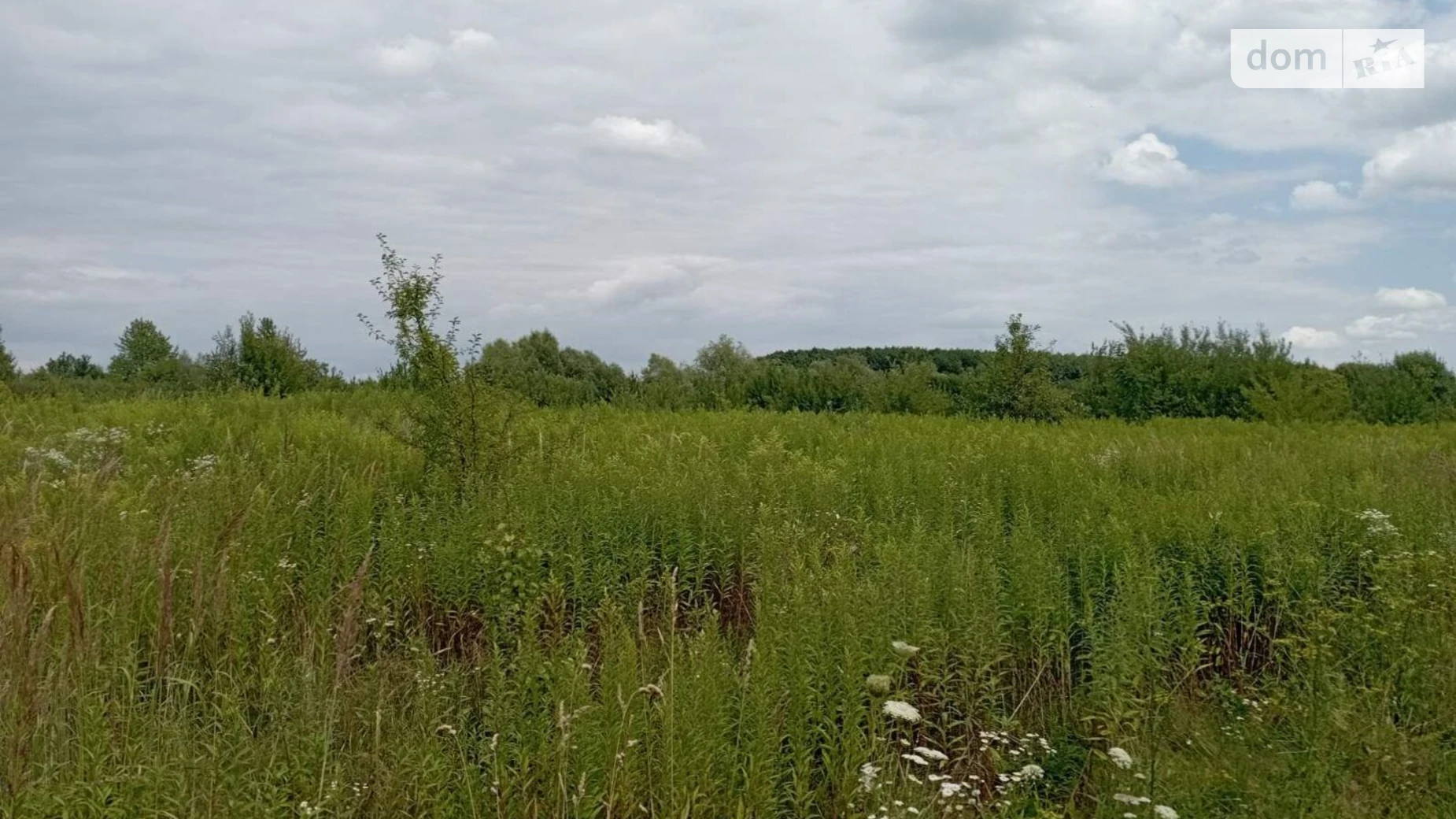 Сдается в аренду земельный участок 1.9411 соток в Львовской области, цена: 7295 грн - фото 3