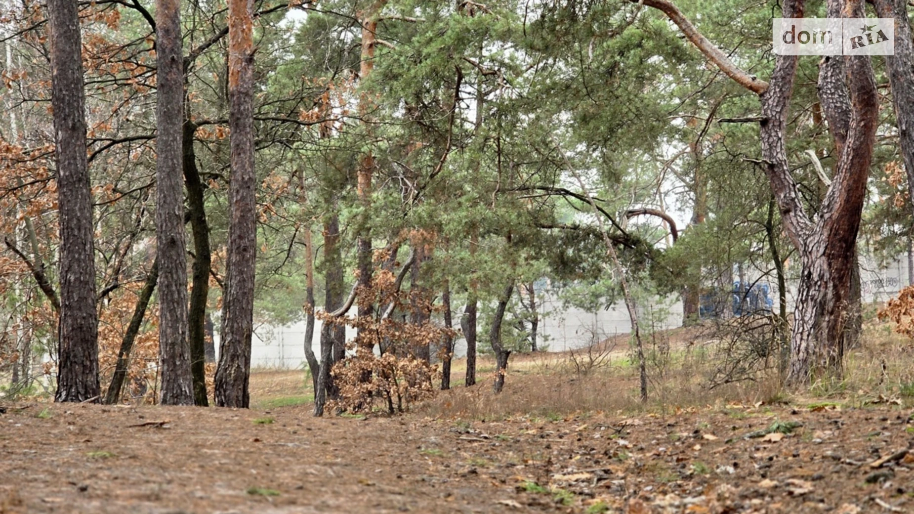 Продается земельный участок 10.02 соток в Киевской области, цена: 89450 $ - фото 4