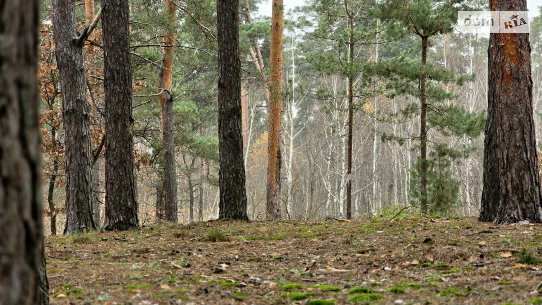 Продается земельный участок 10.02 соток в Киевской области, цена: 89450 $ - фото 5