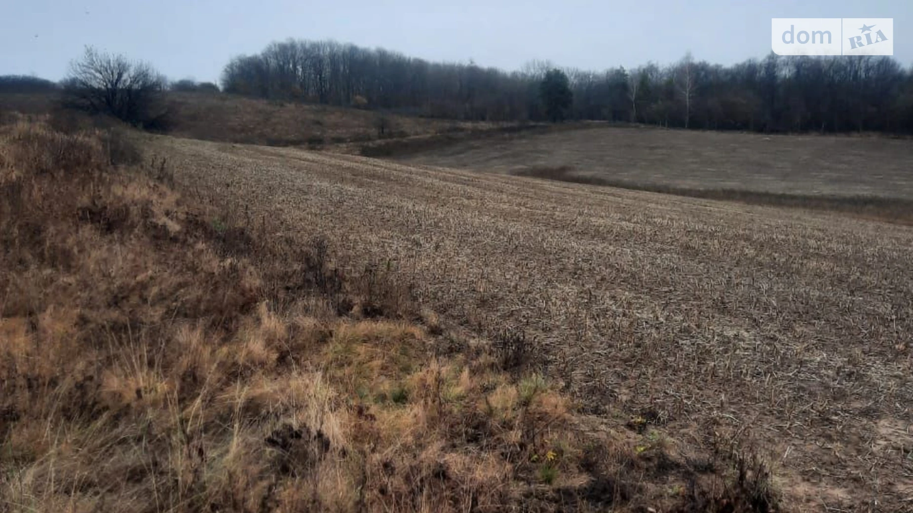 Сдается в аренду земельный участок 4.7 соток в  области, цена: 9307 грн - фото 2