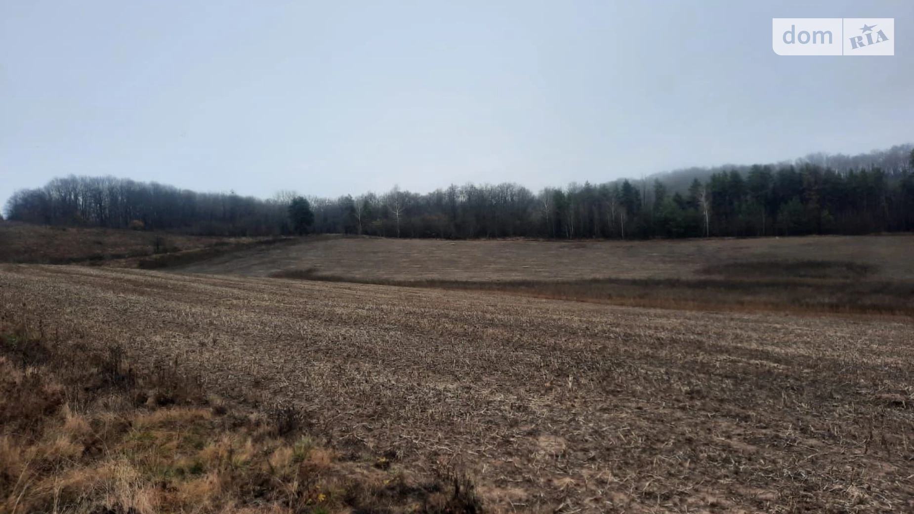 Сдается в аренду земельный участок 4.7 соток в  области, цена: 9307 грн - фото 3