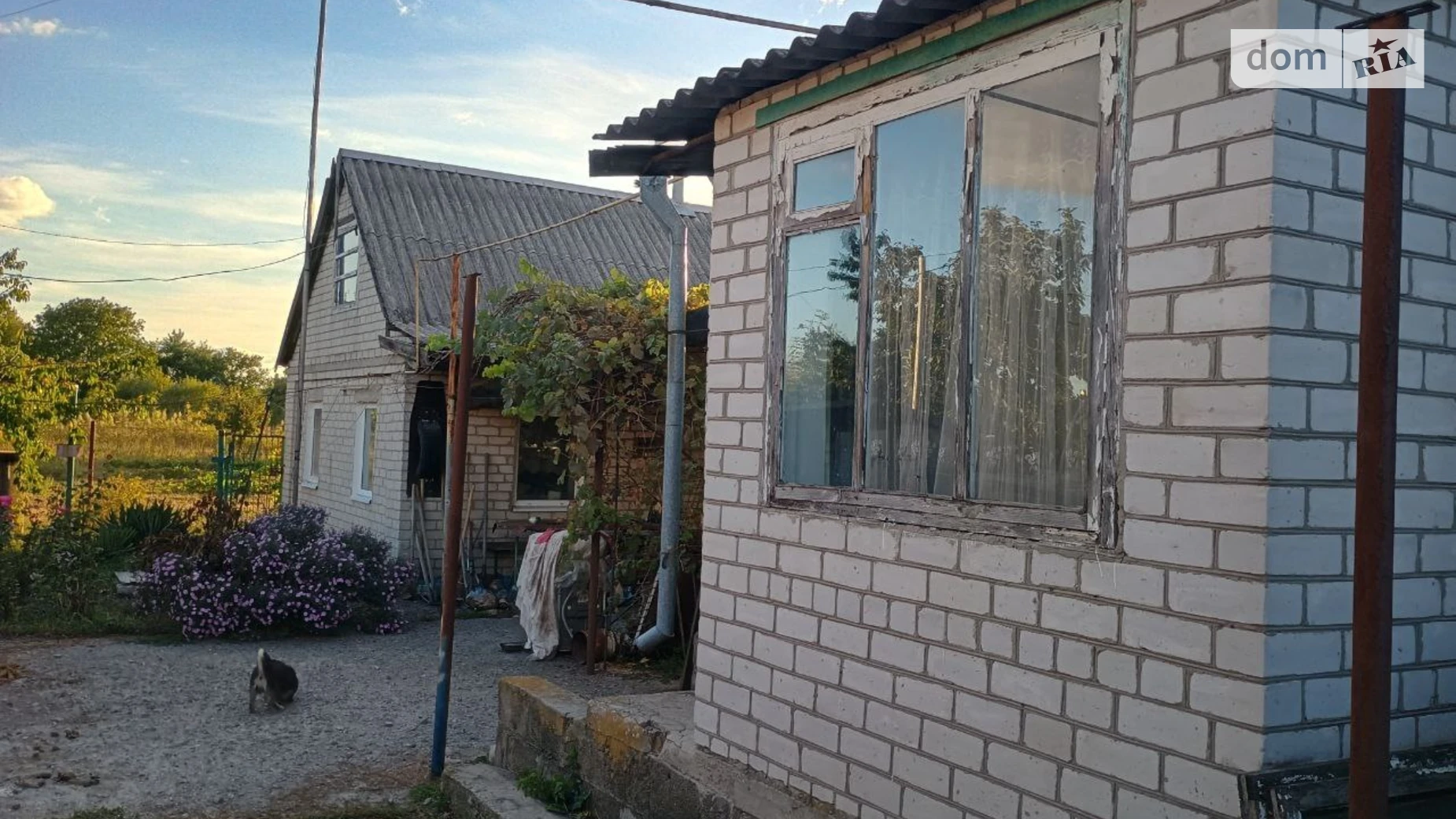 Продается одноэтажный дом 1543 кв. м с террасой, цена: 20000 $ - фото 4