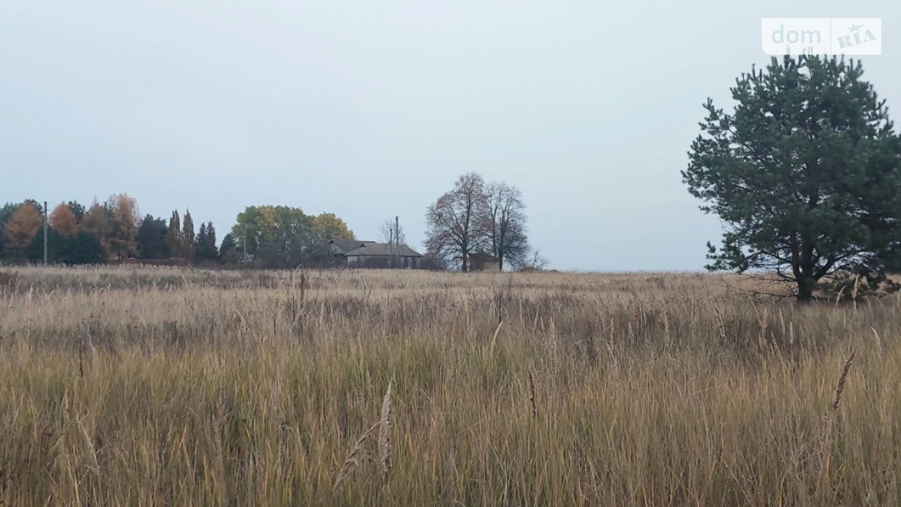 вул. Травнева Сухолуччя, цена: 49000 $ - фото 5