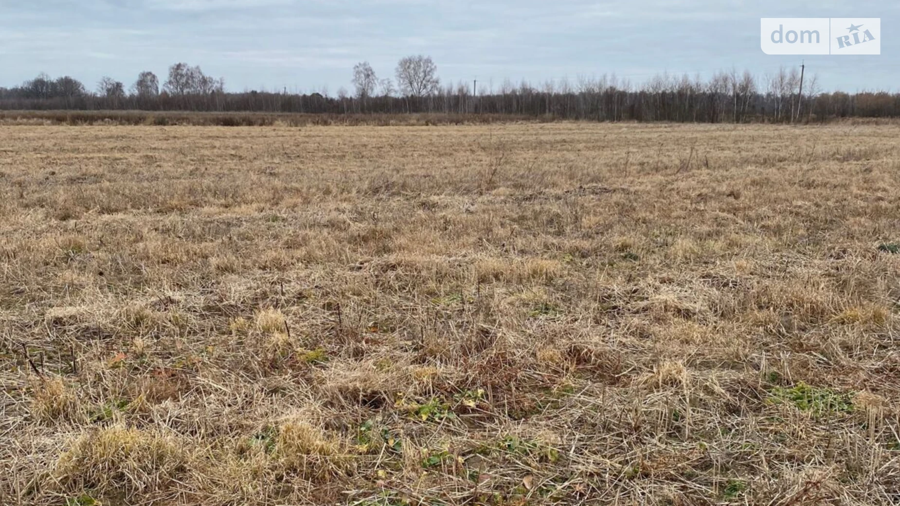 Продается земельный участок 5.2005 соток в Ивано-Франковской области, цена: 9680731 грн - фото 3