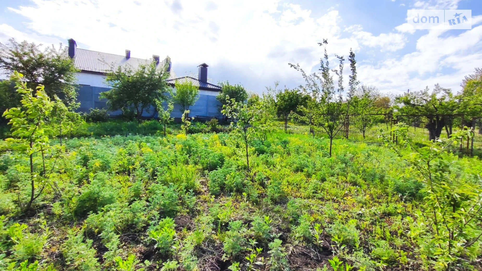 Продается земельный участок 8 соток в Хмельницкой области, цена: 18000 $ - фото 5