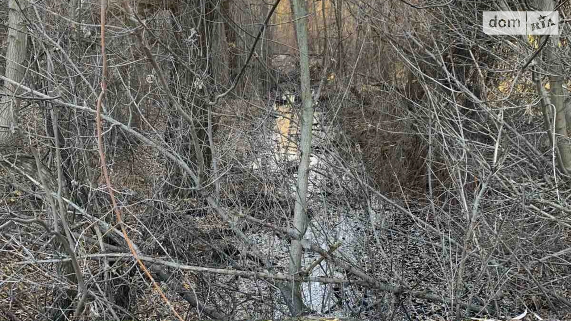 Продається земельна ділянка 2.0208 соток у Черкаській області, цена: 200000 $ - фото 5