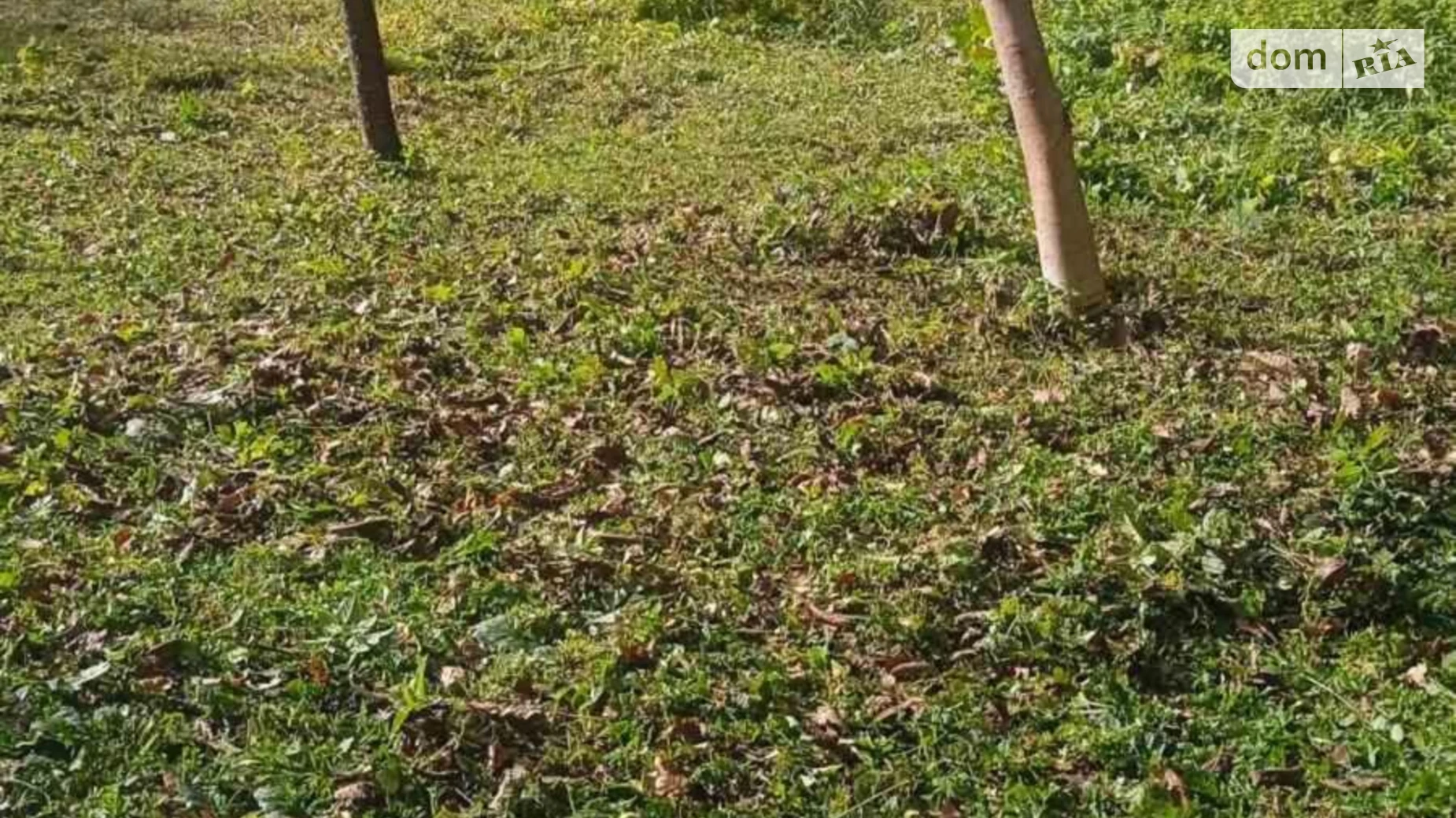 Продается земельный участок 8 соток в Ивано-Франковской области, цена: 9000 $ - фото 2