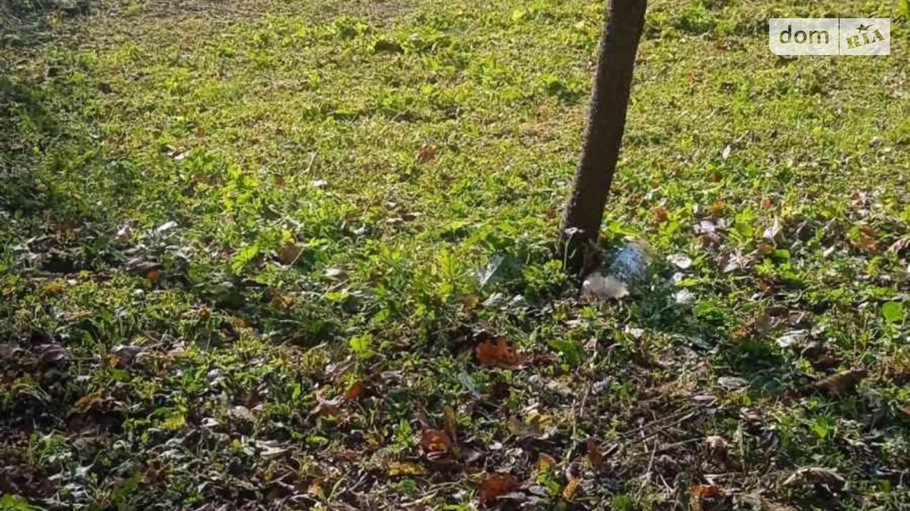 Продается земельный участок 8 соток в Ивано-Франковской области, цена: 9000 $ - фото 3