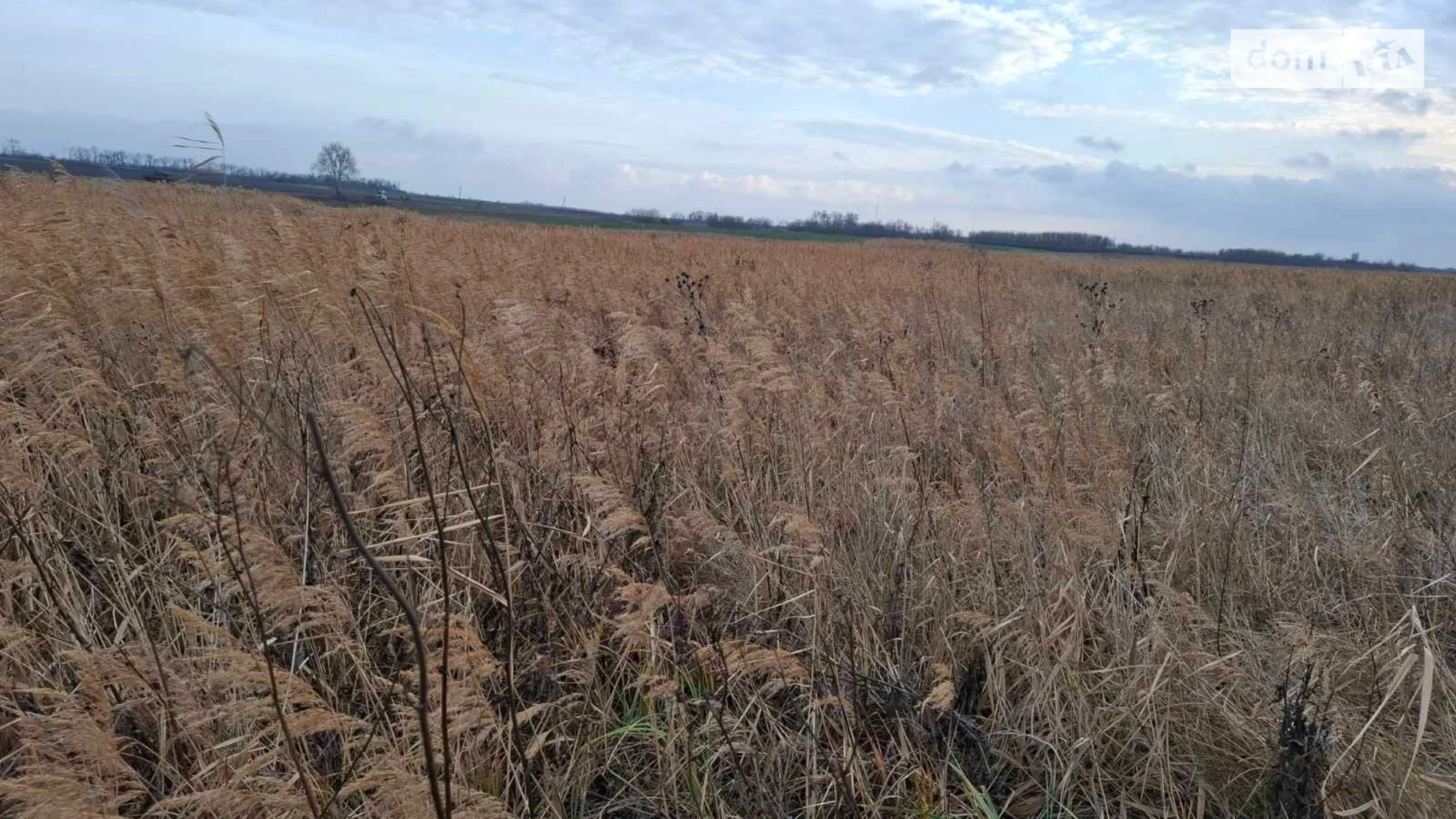 Юрьевка, цена: 20393 грн - фото 2