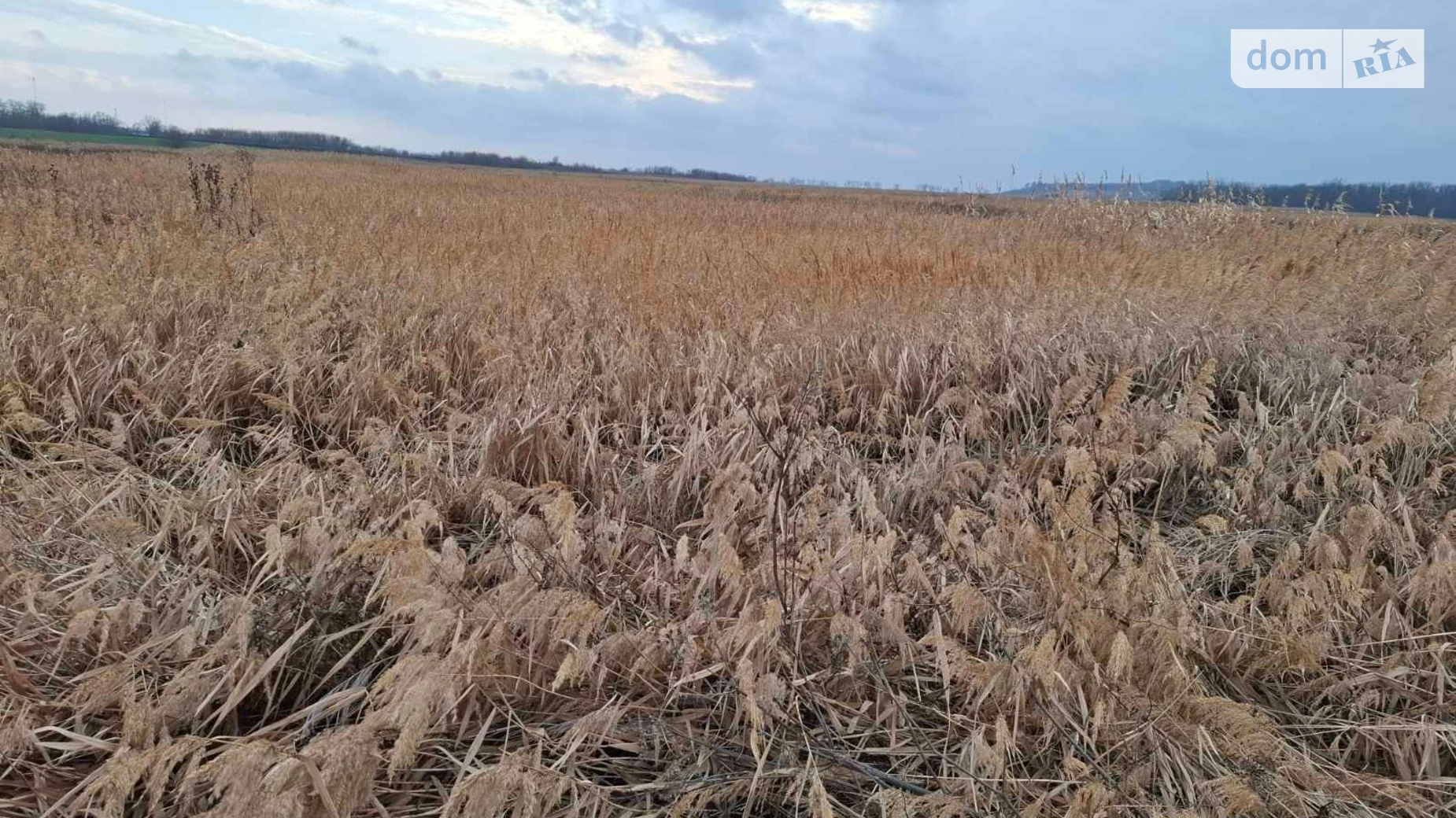 Юрьевка, цена: 20393 грн - фото 3