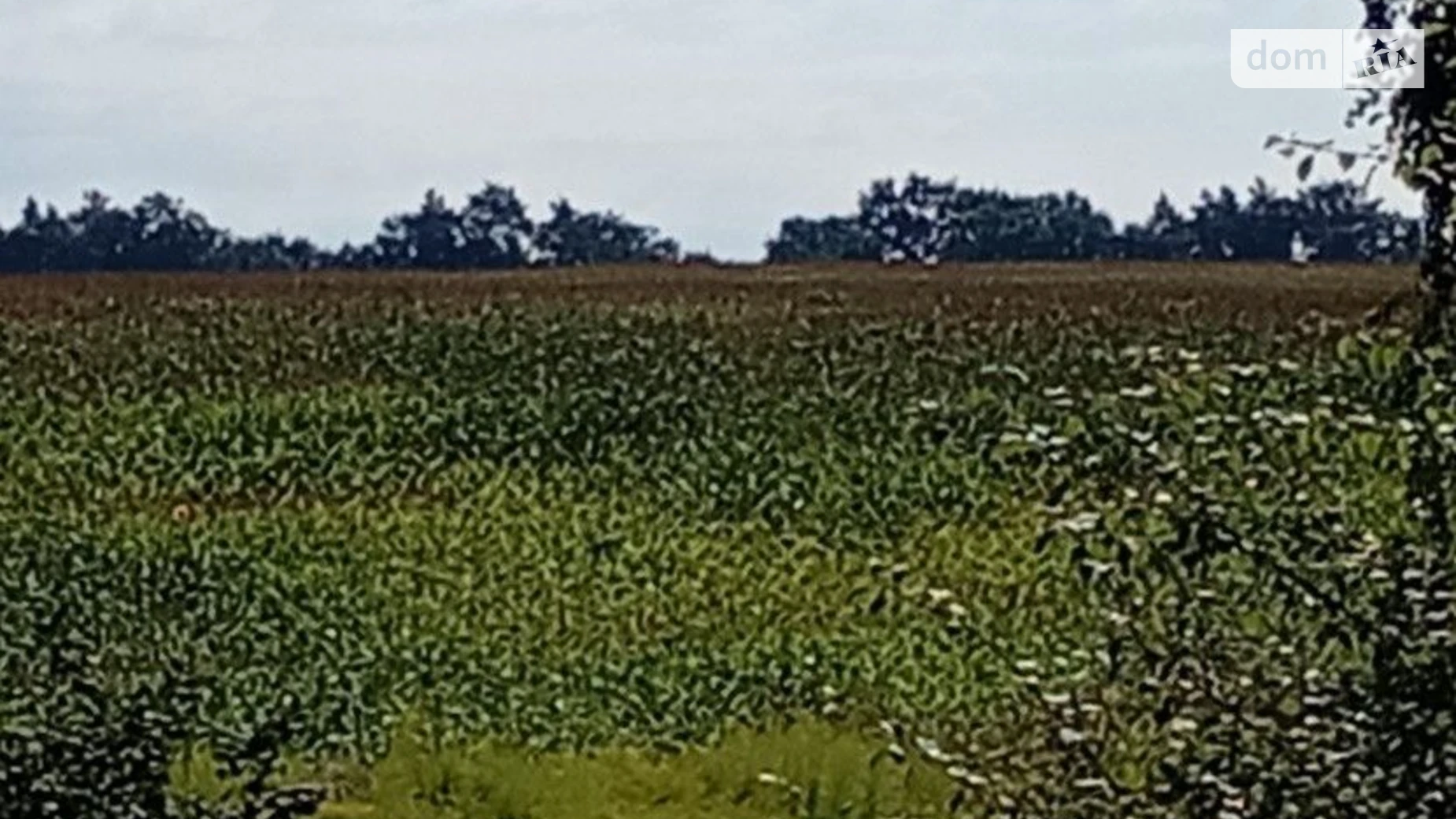 Белогородка, цена: 5336900 грн - фото 2