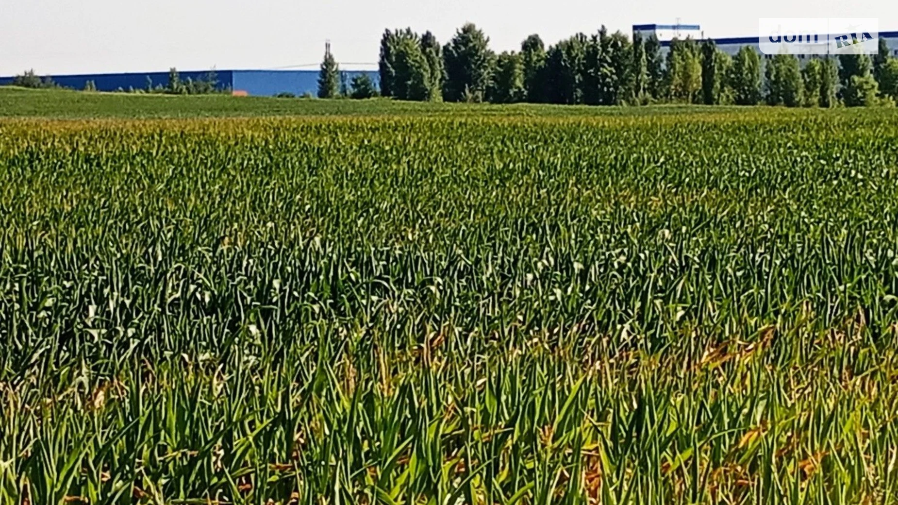 Бровары, цена: 3402855 грн - фото 2